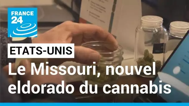 Le nouvel eldorado du cannabis dans le Midwest américain : le Missouri • FRANCE 24