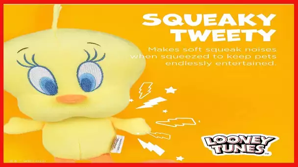 LOONEY TUNES for Pets Tweety Bird Big Head Plush Dog Toy | Officially Licensed Warner Bros Dog Chew