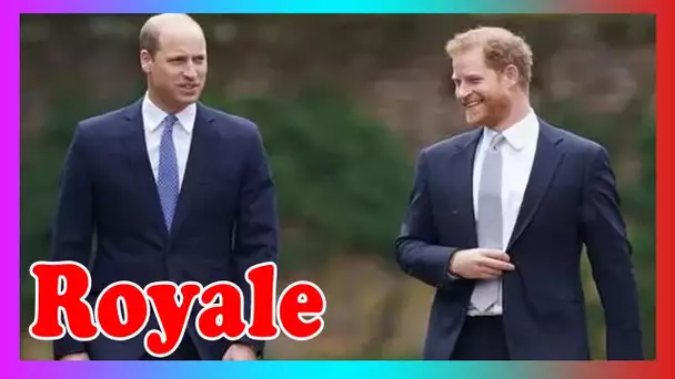 La collation après l'école trempée d@ns du ketchup William et Harry mise à nu par le chef royal