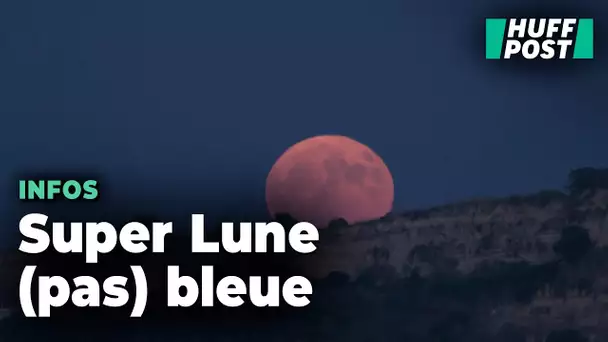 La « super Lune bleue » du lundi 19 août a fait des heureux, en voici les splendides images