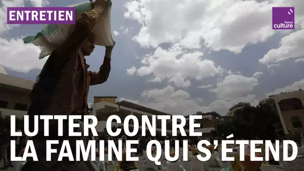 Yemen, Afghanistan, Somalie… Comment lutter contre la famine qui s’étend ?