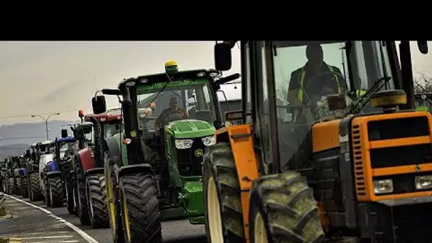 Les eurodéputés demandent de repenser la Politique agricole commune