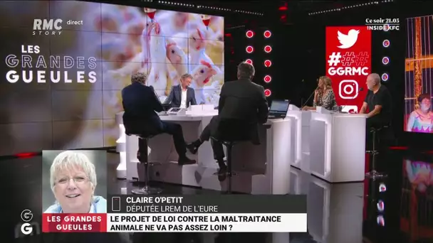 "C'est une loi a minima": Claire O'Petit (LREM) frustrée par le texte contre la maltraitance animale