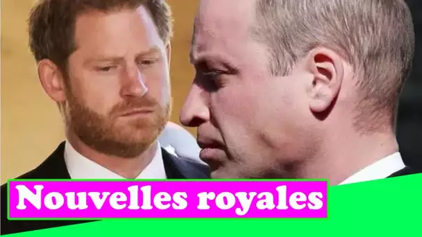 Le prince William et le prince Harry snobent les efforts de leurs amis pour mettre fin à la querelle