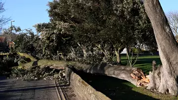 Tempête Eunice : cette vidéo choc prouve la violence des vents !