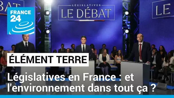 Législatives: et l'environnement dans tout ça? • FRANCE 24