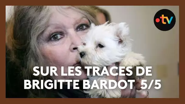 90 ans de Brigitte Bardot : La Garrigue l’autre maison de BB, un domaine acheté pour ses animaux