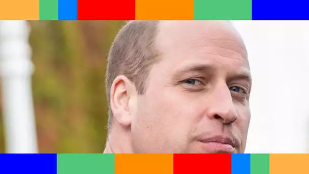 👑  Prince William : une annonce officielle qui creuse le fossé avec son frère le prince Harry