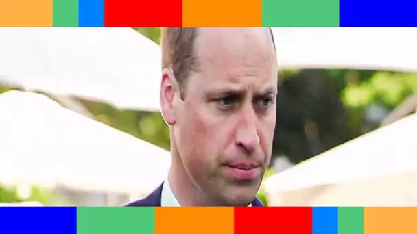 Diana manipulée : le prince William n’en démord pas