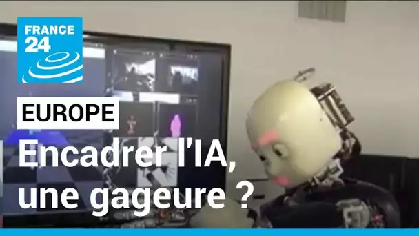 Intelligence artificielle : encadrer l’IA, une gageure ? • FRANCE 24