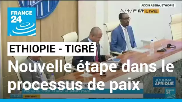 Ethiopie : le TPLF retiré de la liste des entités terroristes • FRANCE 24