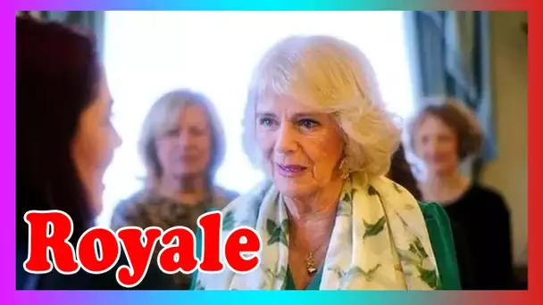 Camilla: la charité en cas d'abus peut m3ttre fin à l'enfer de la violence domestique pour toujours