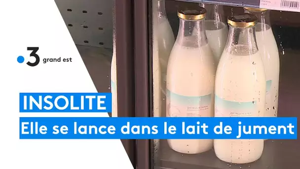 INSOLITE : Elle se lance dans le lait de jument et ses produits dérivés