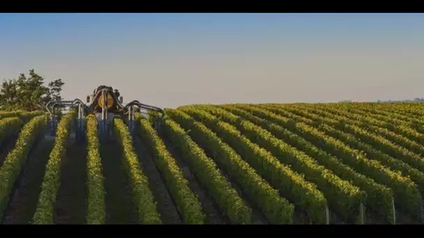 Orages : dévastés par les intempéries, les agriculteurs réclament une réforme des assurances