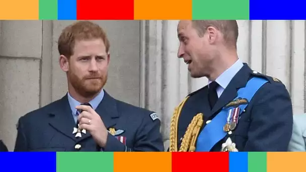 William et Harry en froid  cette réunion virtuelle qui les a réunis