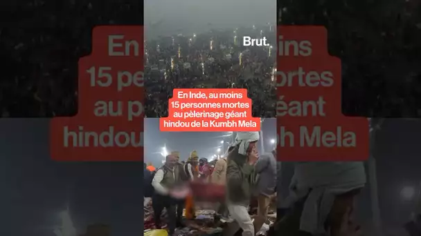 Une bousculade a fait au moins 30 morts et 90 blessés pendant le pèlerinage hindou de la Kumbh Mela.