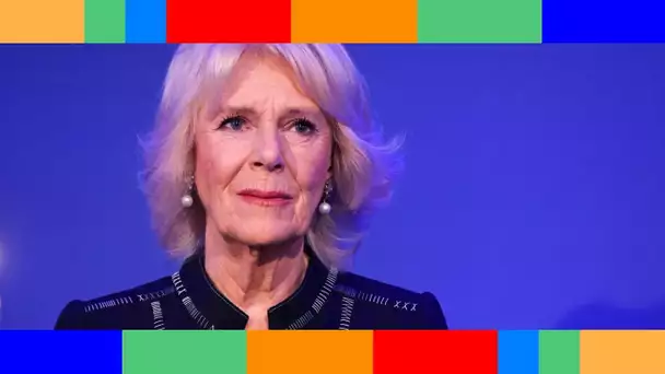 👑  Camilla Parker Bowles : en larmes, elle prend une décision importante