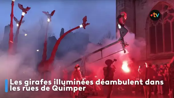 Les girafes illuminées déambulent dans les rues de Quimper