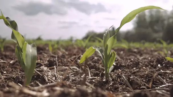 Agriculteur #Çarecrute