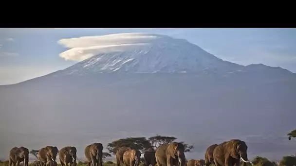 Les derniers glaciers d'Afrique disparaîtront d'ici 2040, alerte l'ONU