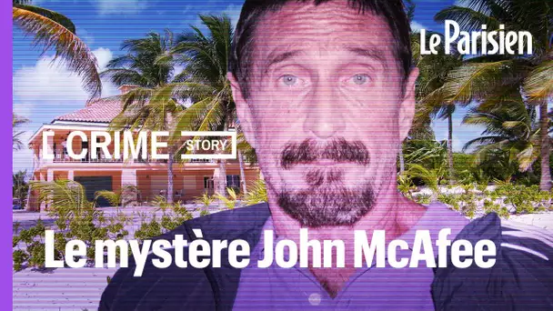 Crime Story : John McAfee, le génie de l’informatique retrouvé pendu dans une prison en Espagne