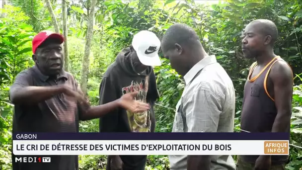 Gabon : Le cri de détresse des victimes d´exploitation du bois