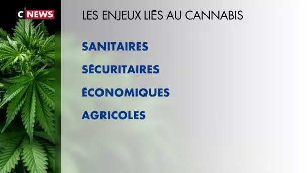 Cannabis : des députés lancent une mission pour « dépassionner » le débat