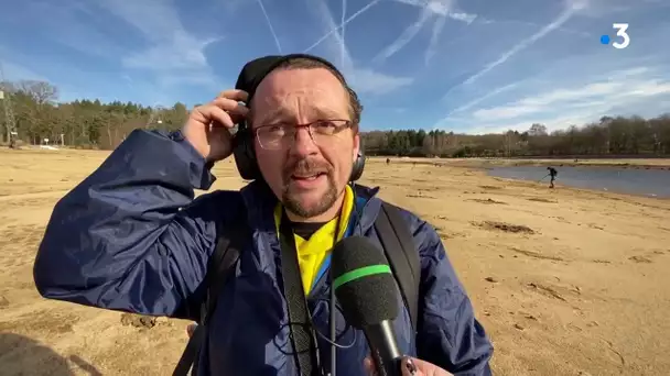 Haute-Vienne : ils détectent le métal pour dépolluer le Lac de Saint-Pardoux