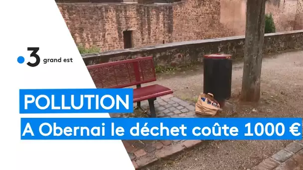 Pollution : 1000 euros le déchet jeté par terre à Obernai