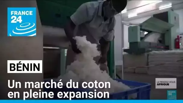 Au Bénin, les investisseurs attirés par un marché du coton en pleine expansion • FRANCE 24