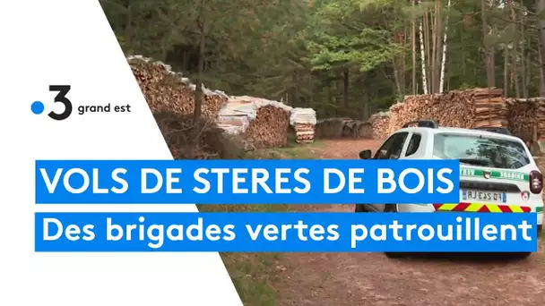 Des brigades vertes pour contrer les vols de stères de bois stockés dans les forêts