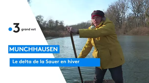 Munchhausen: la réserve naturelle en hiver