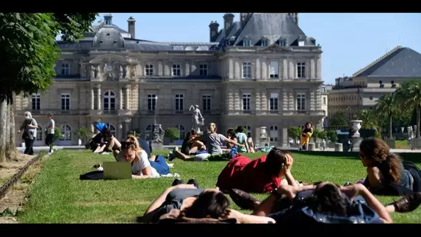 "Il y a de l'herbe et plus d'espace" : retrouvailles et pique-niques dans les parcs et jardins