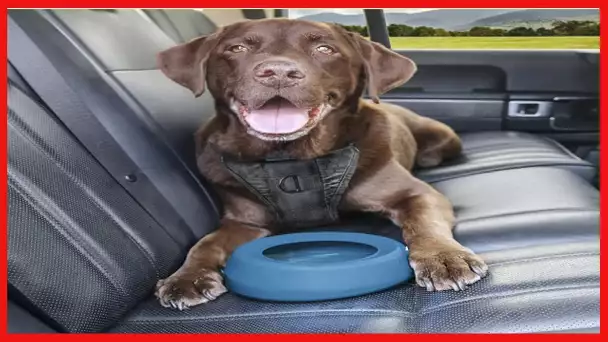 Kurgo No Spill Dog Travel Bowl, Portable No,Mess Water Bowl for Dogs, Splash Less Pet Bowl for Car