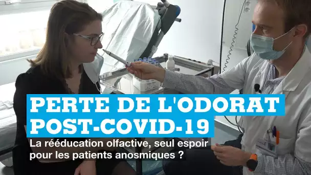 Perte de l'odorat post-Covid : la rééducation olfactive, seul espoir pour les patients anosmiques ?