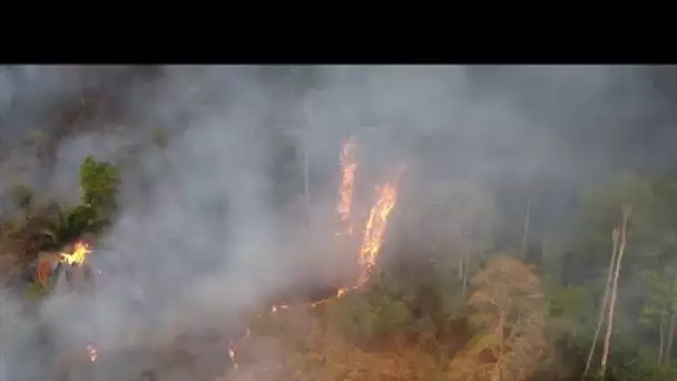 Le Brésil frappé lui aussi par des feux de forêt