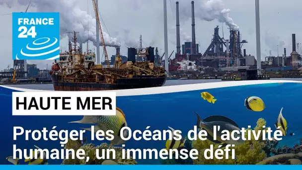 Haute mer : vers des aires marines protégées • FRANCE 24