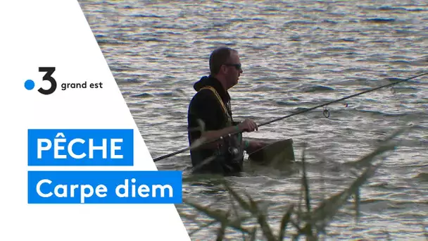 World Carp Classic 2021 : pêche de la plus grosse carpe au lac de Madine