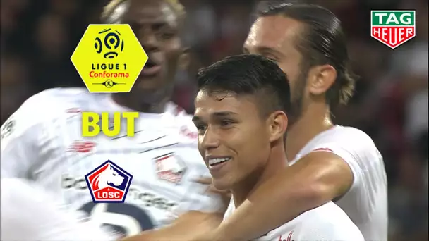 But Luiz ARAUJO (24') / OGC Nice - LOSC (1-1)  (OGCN-LOSC)/ 2019-20