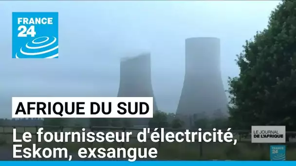 Afrique du Sud : le fournisseur d'électricité, Eskom, exsangue • FRANCE 24