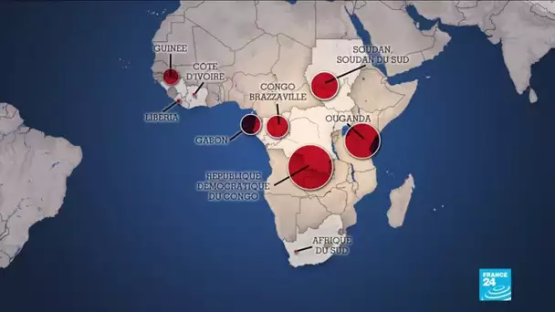 Épidémie d'Ebola en RDC : portrait d'un virus tueur