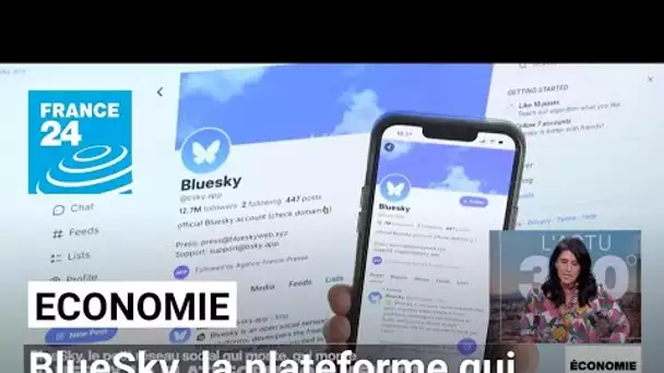 BlueSky, le réseau social qui fait trembler Twitter • FRANCE 24