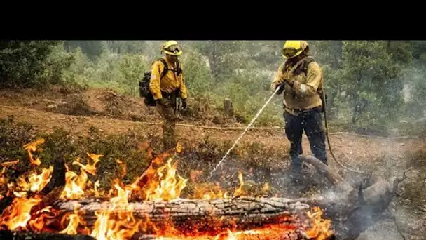 Le mégafeu "Oak Fire" continue son avancée en Californie