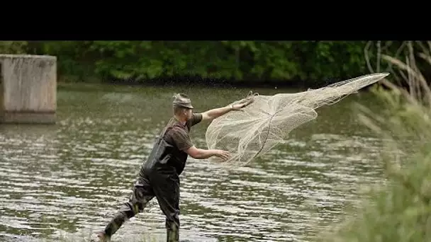 Pêche et aquaculture dans le respect de l’environnement