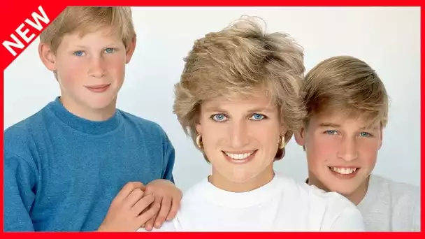 ✅  Lady Diana : cette promesse solennelle que le prince William n'a jamais pu tenir