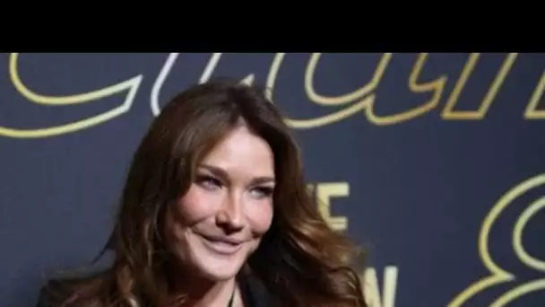 PHOTO Carla Bruni : sa tendre déclaration pour l'anniversaire de sa rencontre avec...