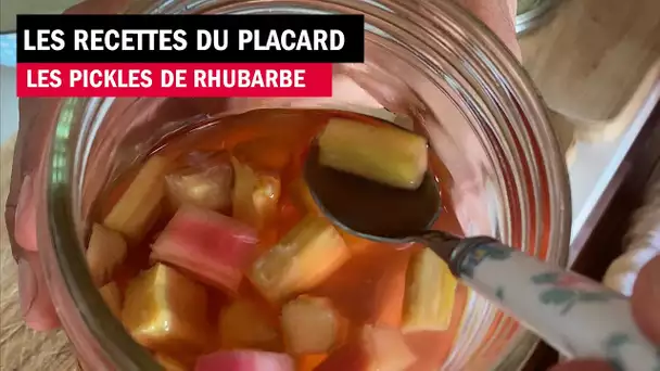 La recette des pickles de rhubarbe 1-2-3 - Les recettes de François-Régis Gaudry