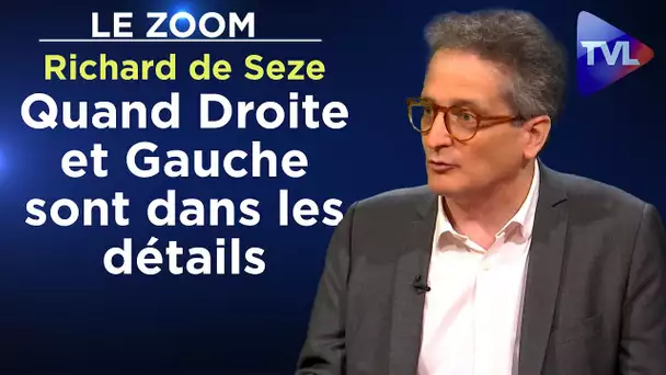 Quand Droite et Gauche sont dans les détails - Le Zoom - Richard de Seze - TVL