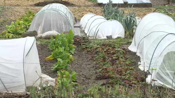 Orléans : le boom des jardins ouvriers