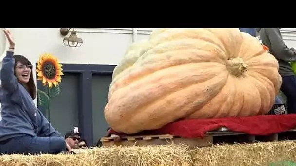 Au Arts and Pumpkin festival, en Californie, une courge de 986 kilos